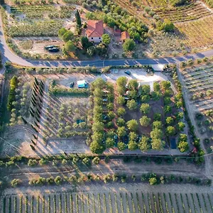Agricamping Poggio Ai Pini Wine Certaldo